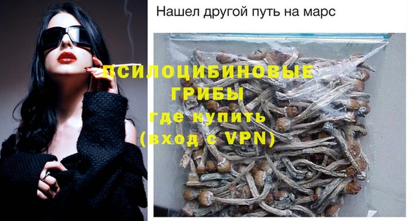 apvp Медногорск