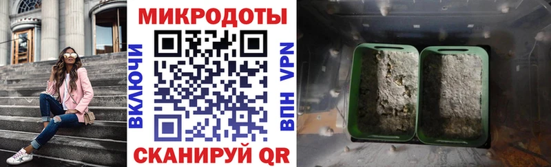 Галлюциногенные грибы Psilocybe Ужур