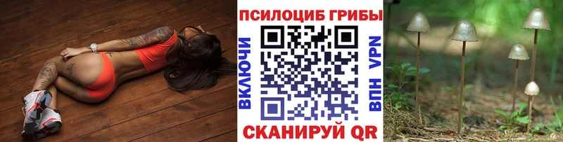 Псилоцибиновые грибы GOLDEN TEACHER  кракен как зайти  Ужур 